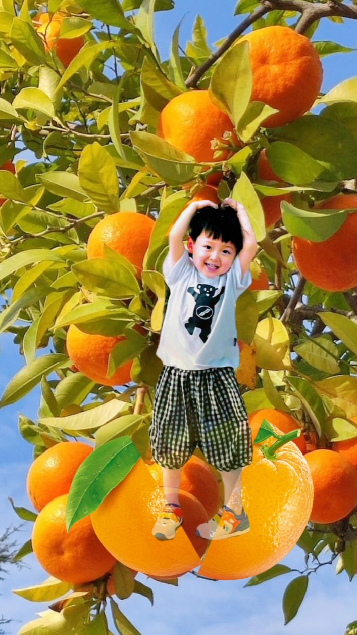 bayi buah 