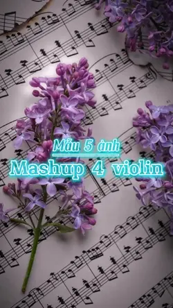 Mẫu 5 ảnh