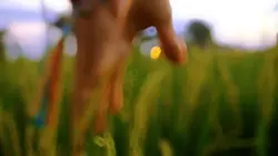 Videography