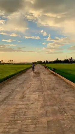 Mẫu Slowmotion màu