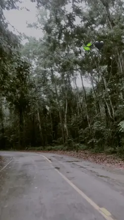 ลม🍃