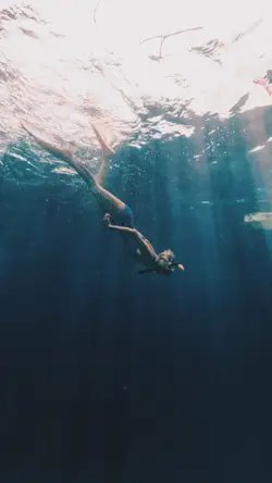 DIVE