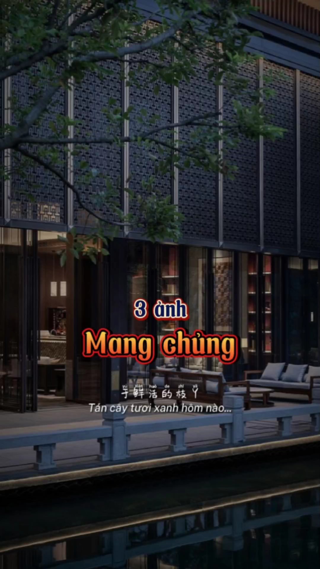 Mang chủng