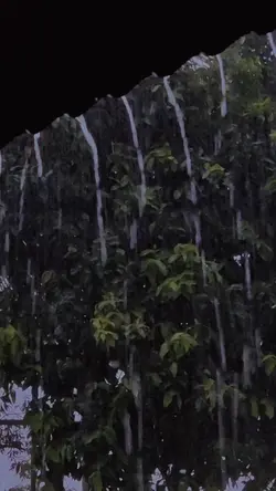 Mentahan hujan