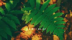 Estetik japan vibes