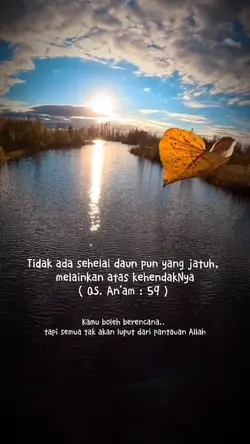 Daun Gugur
