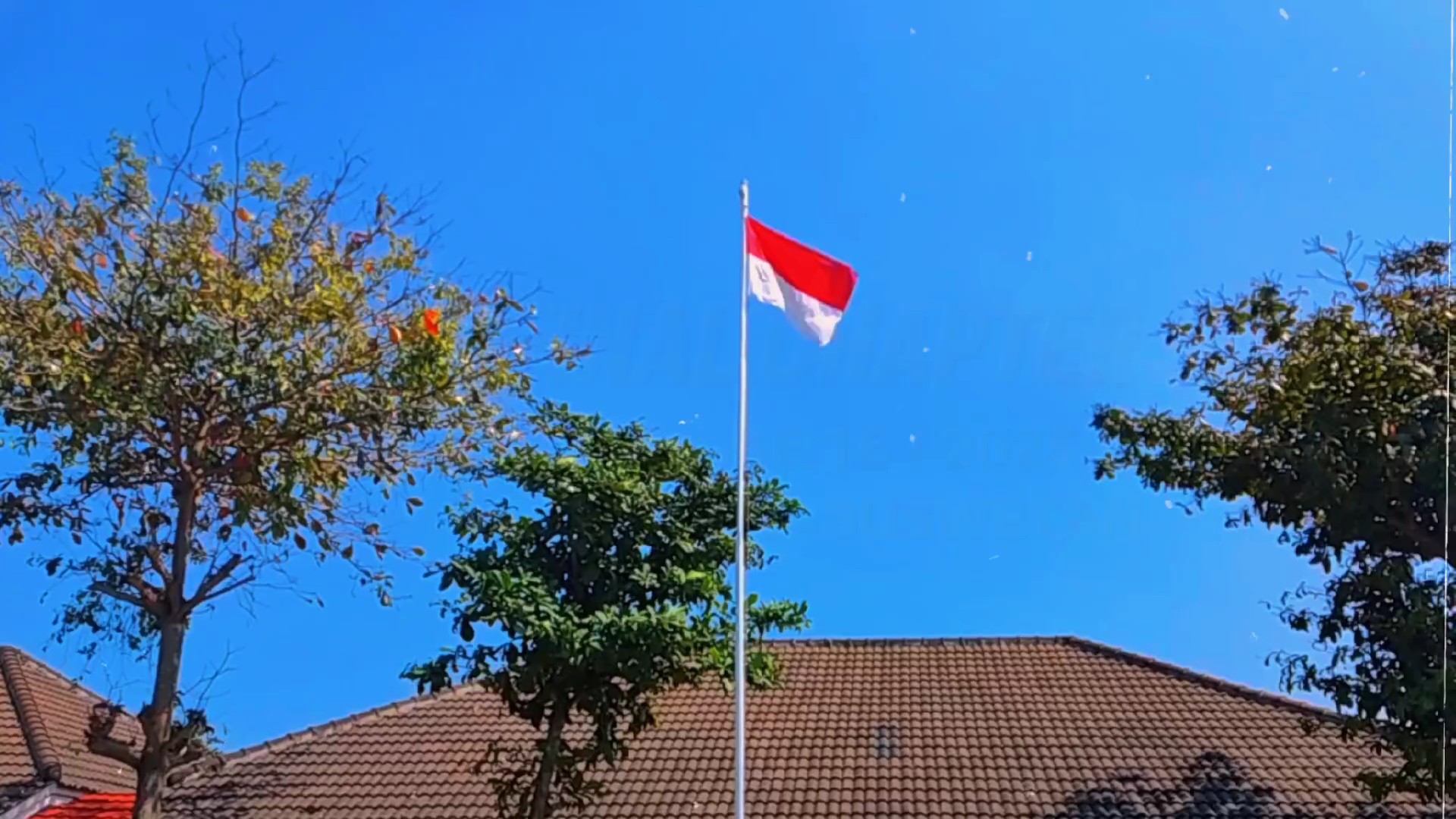 cinematic kece