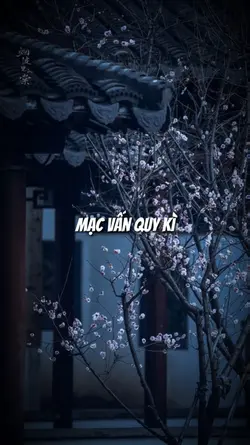 Mạc Vấn Quy Kì