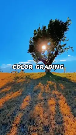 SIMPLE GRADING