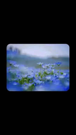 Ost.Alchemy of souls