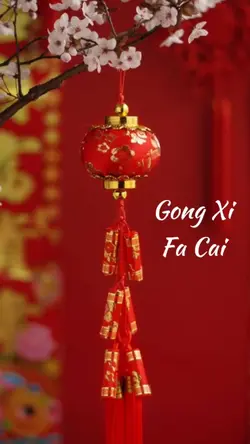 gong Xi fa cai
