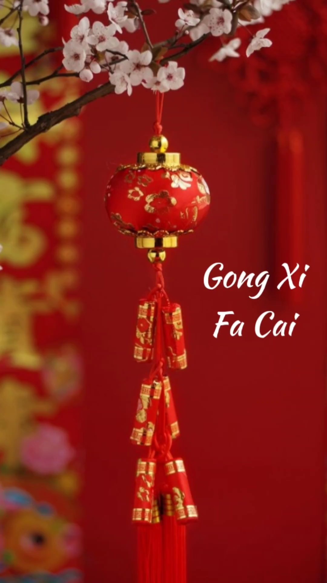 Gong Xi fa cai