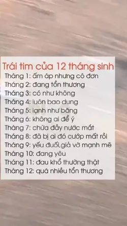 trái tum của 12 