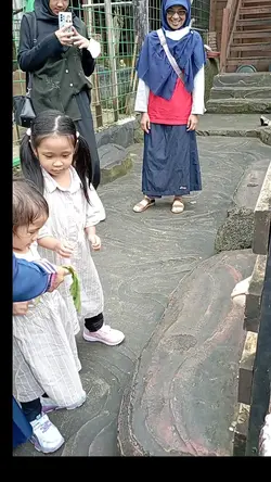 lagu anak kambing