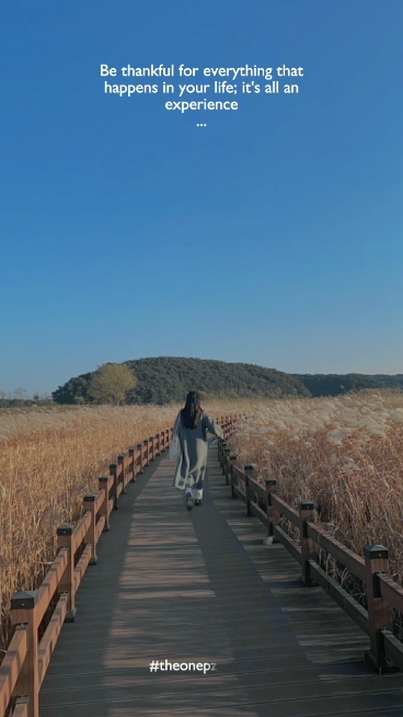 인용 이야기
