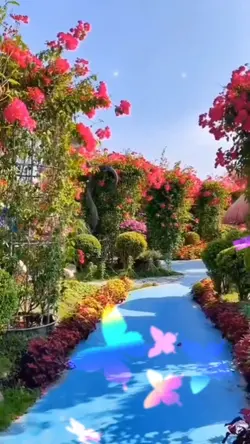 thiên nhiên