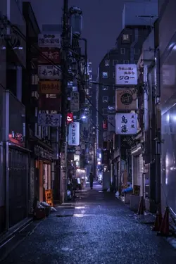 Anata no Yoru ga Ake