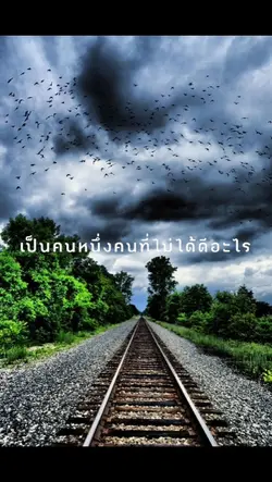 ลงสเตอรี่