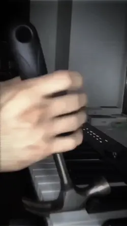 Viral Tiktok Palu