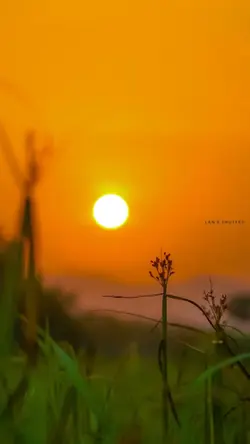 1 เพลง 9 รูป