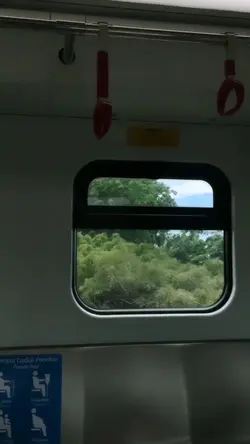 ความสุข