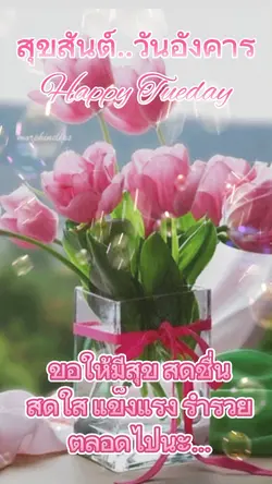 สุขสันต์วันอังคาร