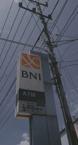 Transisi Estetik 
