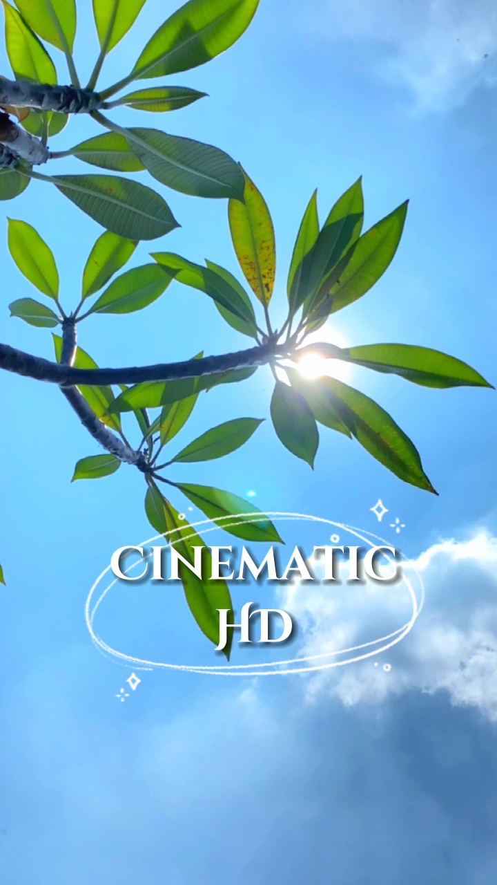 Filtro HD