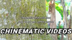chinematic videos