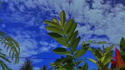 cinematicHD