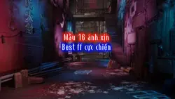 Mẫu 16 ảnh ngang