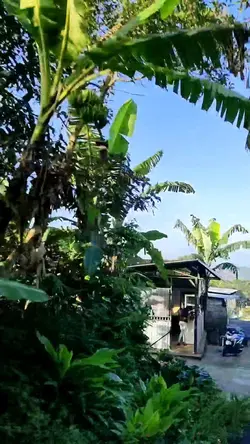 Yuk dipakai