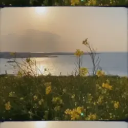 Film
