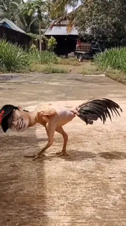 meme kocak