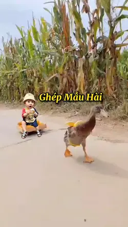 Ghép Vui Vẻ