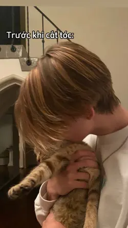 Trước và sau cắt tóc