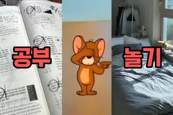 공부 or 침대