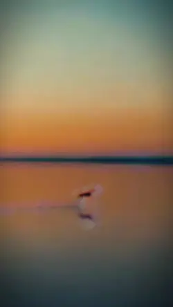 SLOWMO o Rio rio 