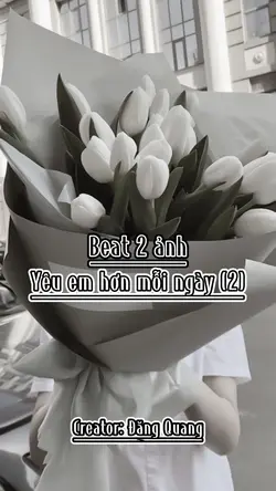Beat 2 ảnh