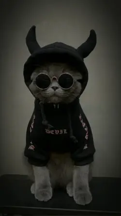 nvhxhdkjfjdhfjkvjchj