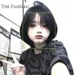 The Fangirl and Idol