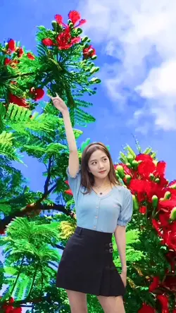Cảnh đẹp tuyệt vời