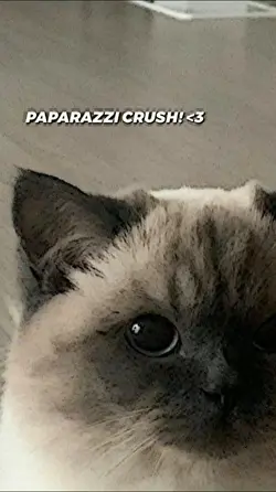 crush?!