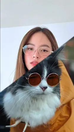 แม่แบบเปลื่ยนฉาก