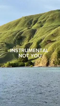 not you instrumental