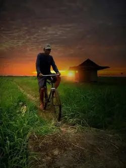 lagu tapsel sedih