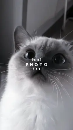 CHILL BILL_Rob$tone,