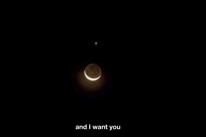 Luna y venusocultación