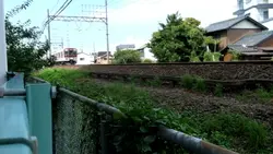 Flow chuyển cảnh 