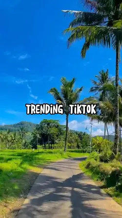 TRENDING TIKTOK